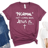 Normal isn't coming back Jesus IS