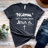 Normal isn't coming back Jesus IS
