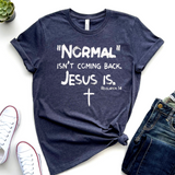 Normal isn't coming back Jesus IS